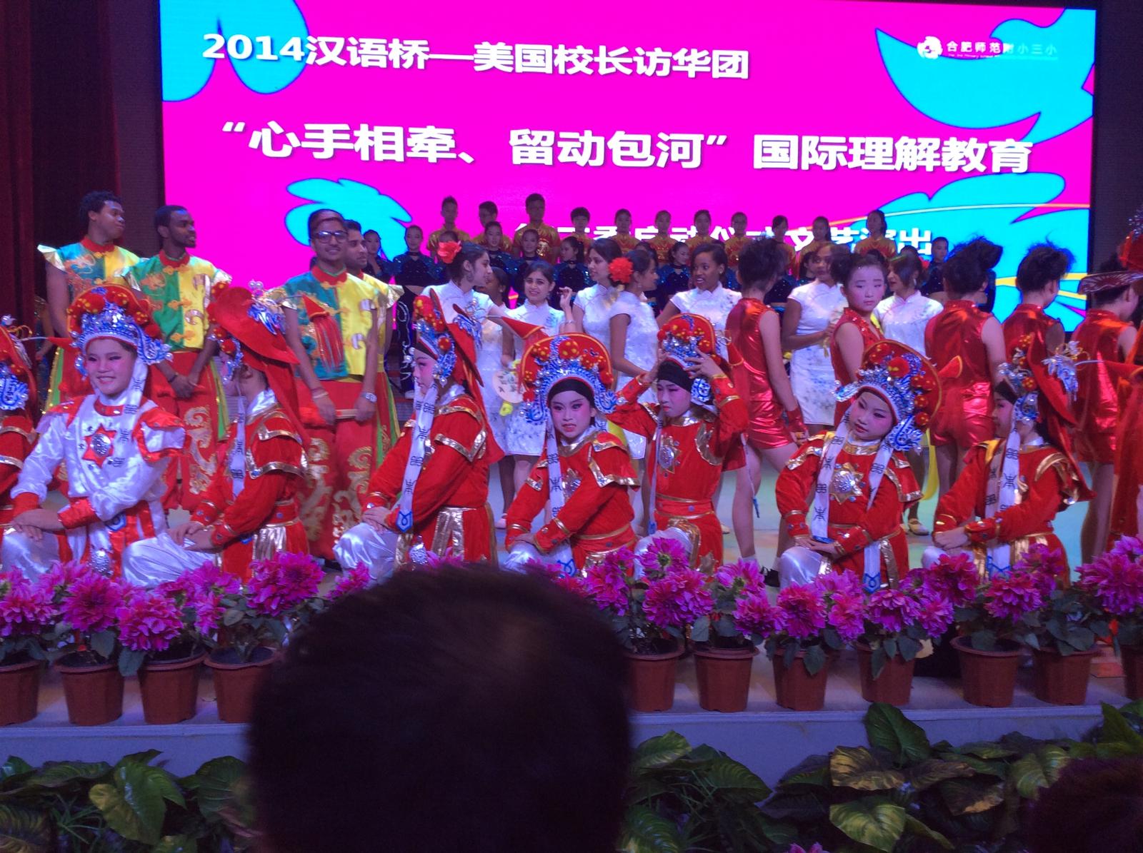 WhatsApp Image 2026-02-12 at 18.57