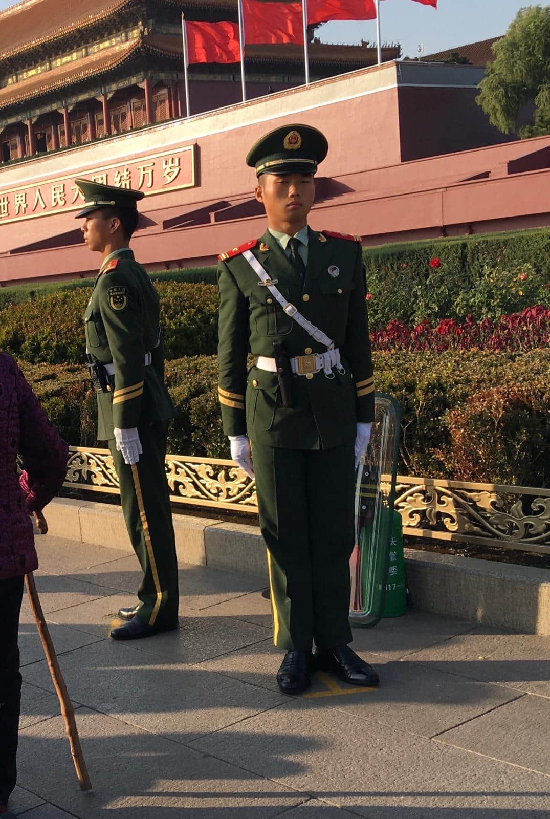 WhatsApp Image 2026-02-12 at 18.57