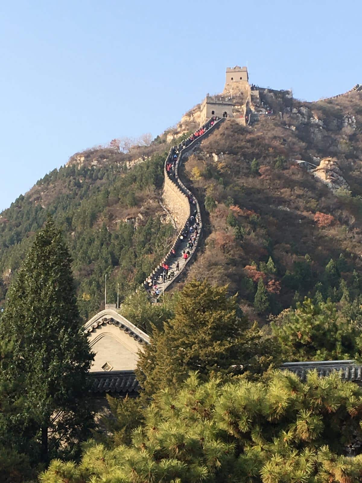 WhatsApp Image 2026-02-12 at 18.57