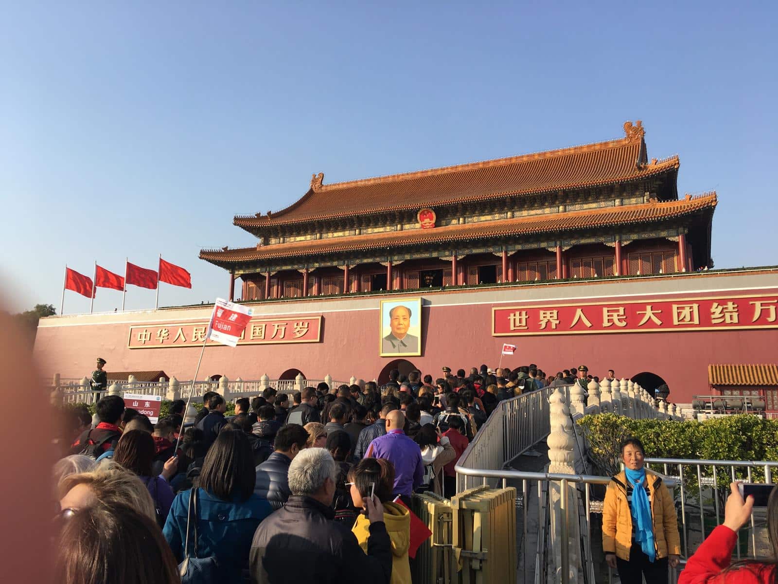 WhatsApp Image 2026-02-12 at 18.57